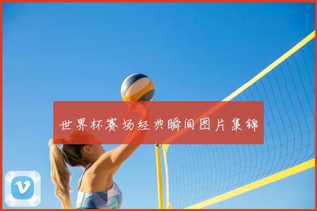 世界杯赛场经典瞬间图片集锦