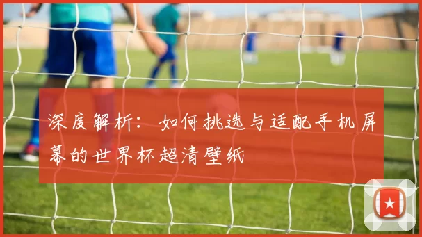 深度解析：如何挑选与适配手机屏幕的世界杯超清壁纸