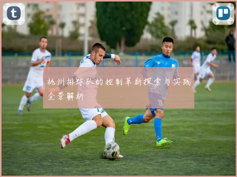 杭州排球队的控制革新探索与实践全景解析