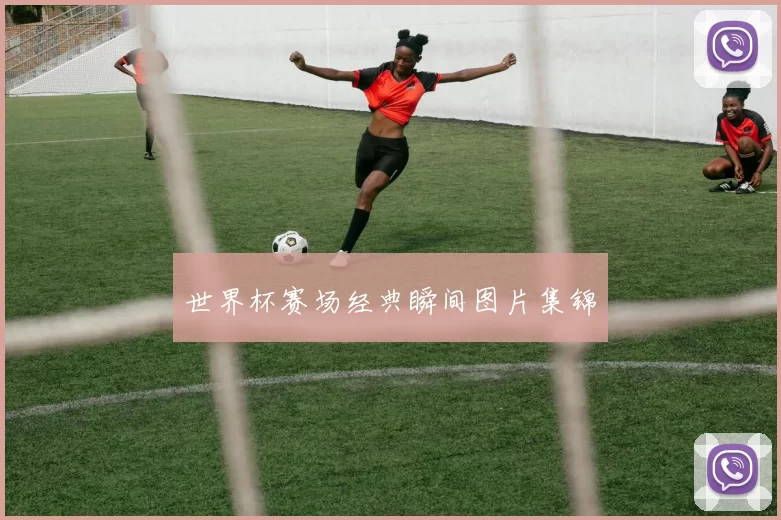 世界杯赛场经典瞬间图片集锦
