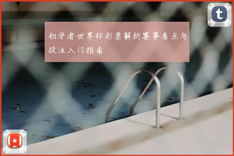 初学者世界杯彩票解析赛事看点与投注入门指南