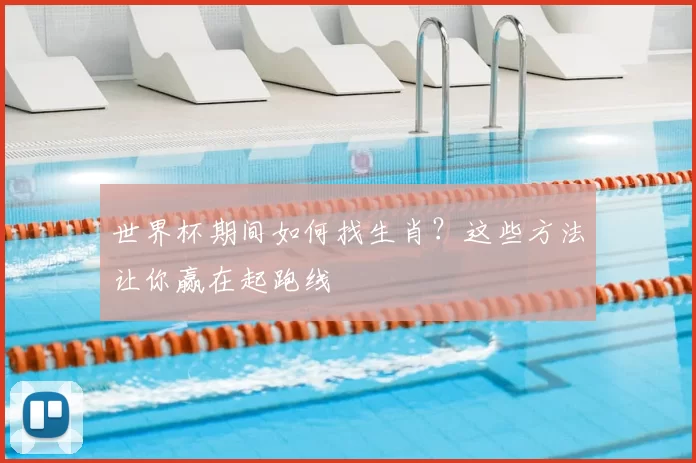 世界杯期间如何找生肖?这些方法让你赢在起跑线