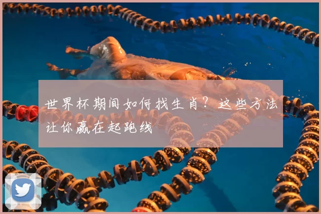 世界杯期间如何找生肖？这些方法让你赢在起跑线